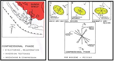 Gambar 5. Fase Kompresi Miosen Tengah Sampai Sekarang dan Elipsoid Model (Pulonggono dkk, 1992).