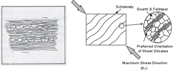 Gambar Struktur Schistosic dan Sketsa Pembentukan Struktur